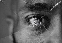 La dictadura del guion: crónica de la obediencia voluntaria la dictadura del guión