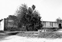 Ecos de hábito y grillete ecos de hábito y grillete