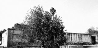 ecos de hábito y grillete