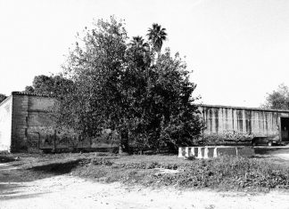 Ecos de hábito y grillete ecos de hábito y grillete