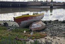 La condena de la verticalidad la condena de la verticalidad