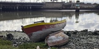 La condena de la verticalidad la condena de la verticalidad