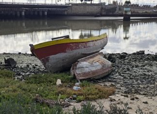 La condena de la verticalidad la condena de la verticalidad