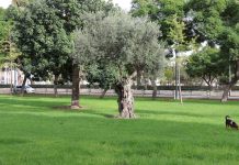 Parque del vino fino parque del vino fino