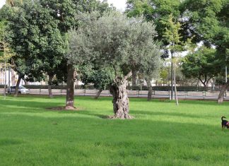 Parque del vino fino parque del vino fino