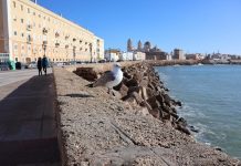 Campo del Sur campo del sur