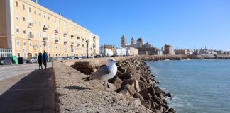 Campo del Sur campo del sur