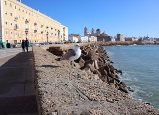 Campo del Sur campo del sur