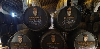 Bodegas Osborne bodega osborne