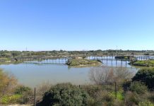 Piscifactoría del Toruño piscifactoria del toruño