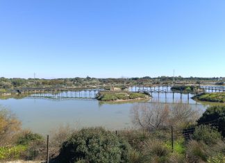 Piscifactoría del Toruño piscifactoria del toruño