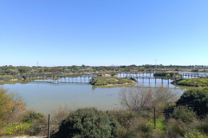 piscifactoria del toruño piscifactoria del toruño