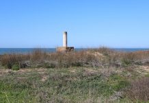 Vértice geodésico Ballena Vértice geodésico ballena