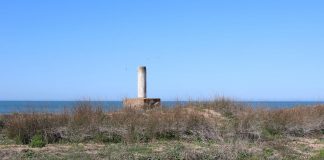 Vértice geodésico ballena