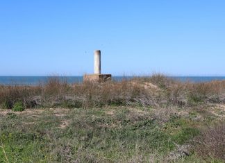 Vértice geodésico Ballena Vértice geodésico ballena