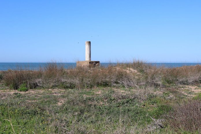 Vértice geodésico ballena