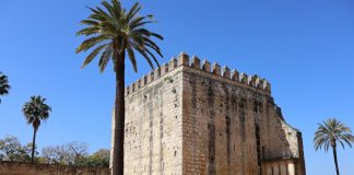 Torre Ponce de León torre ponce de león