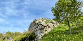 El muro que sostuvo el origen de Torredelcampo