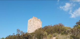 torreón de águilas